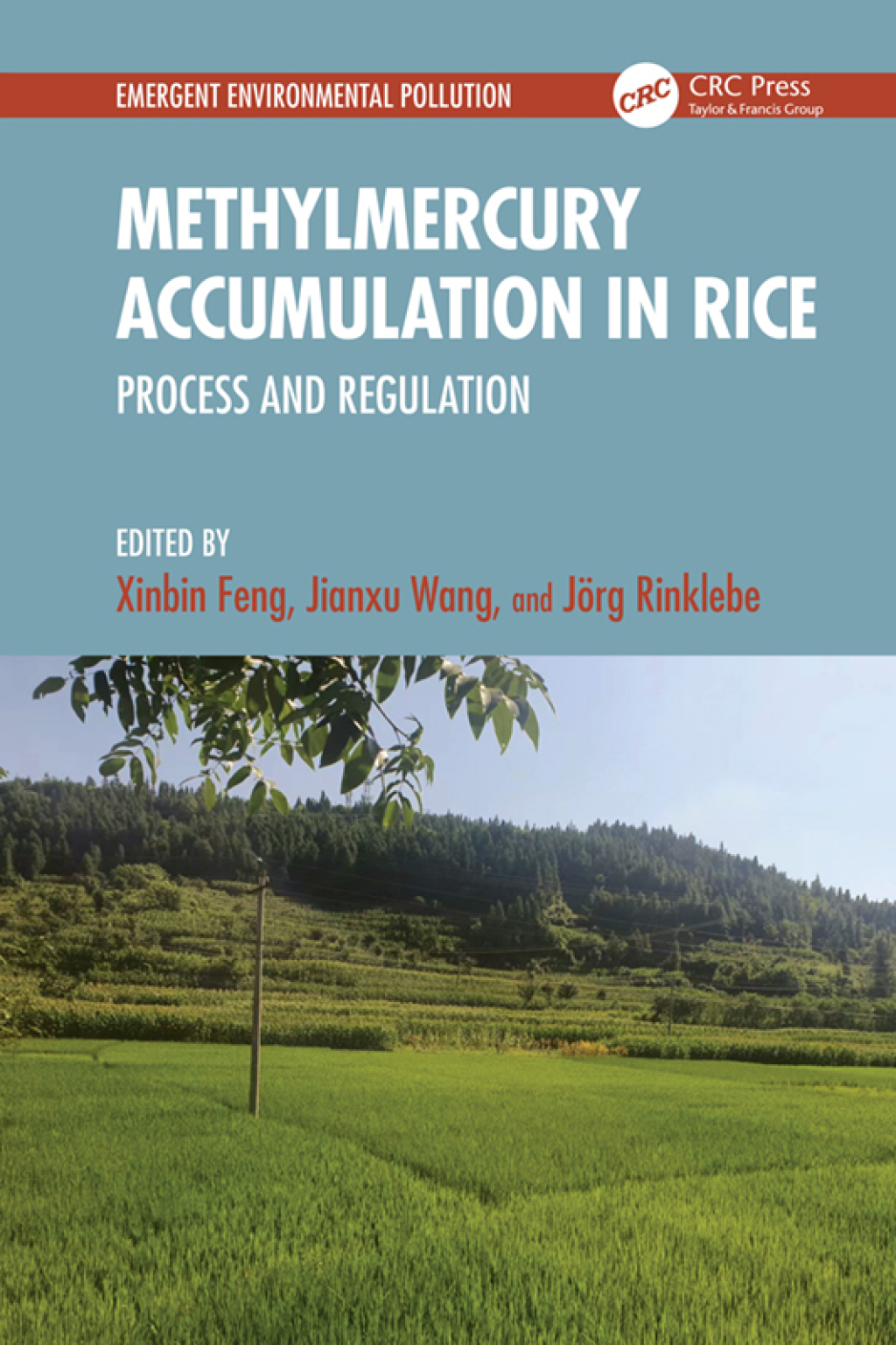 Methylmercury Accumulation in Rice Process and Regulation 1st Edition