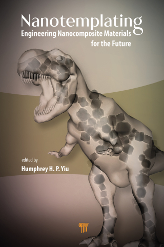Imagen de portada: Nanotemplating 1st edition 9789814316927