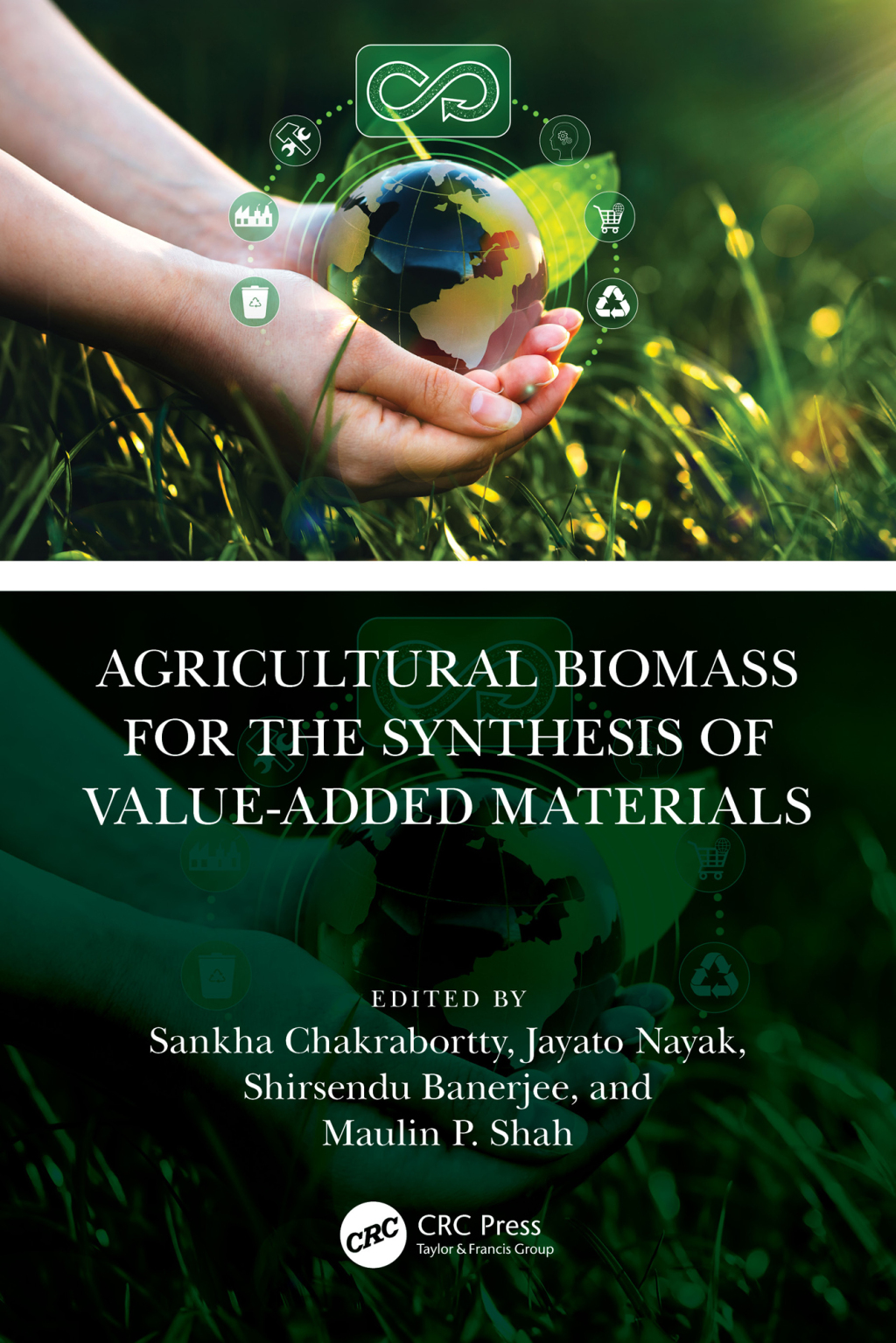 Agricultural Biomass for the Synthesis of Value-Added Materials 1st Edition