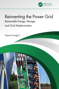 Cover image: Reinventing the Power Grid 1st edition 9781032685953