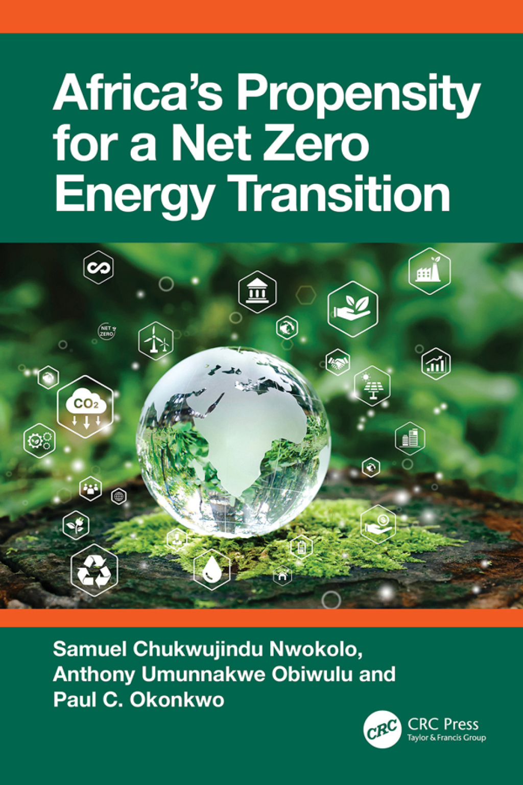 Africa’s Propensity for a Net Zero Energy Transition 1st Edition