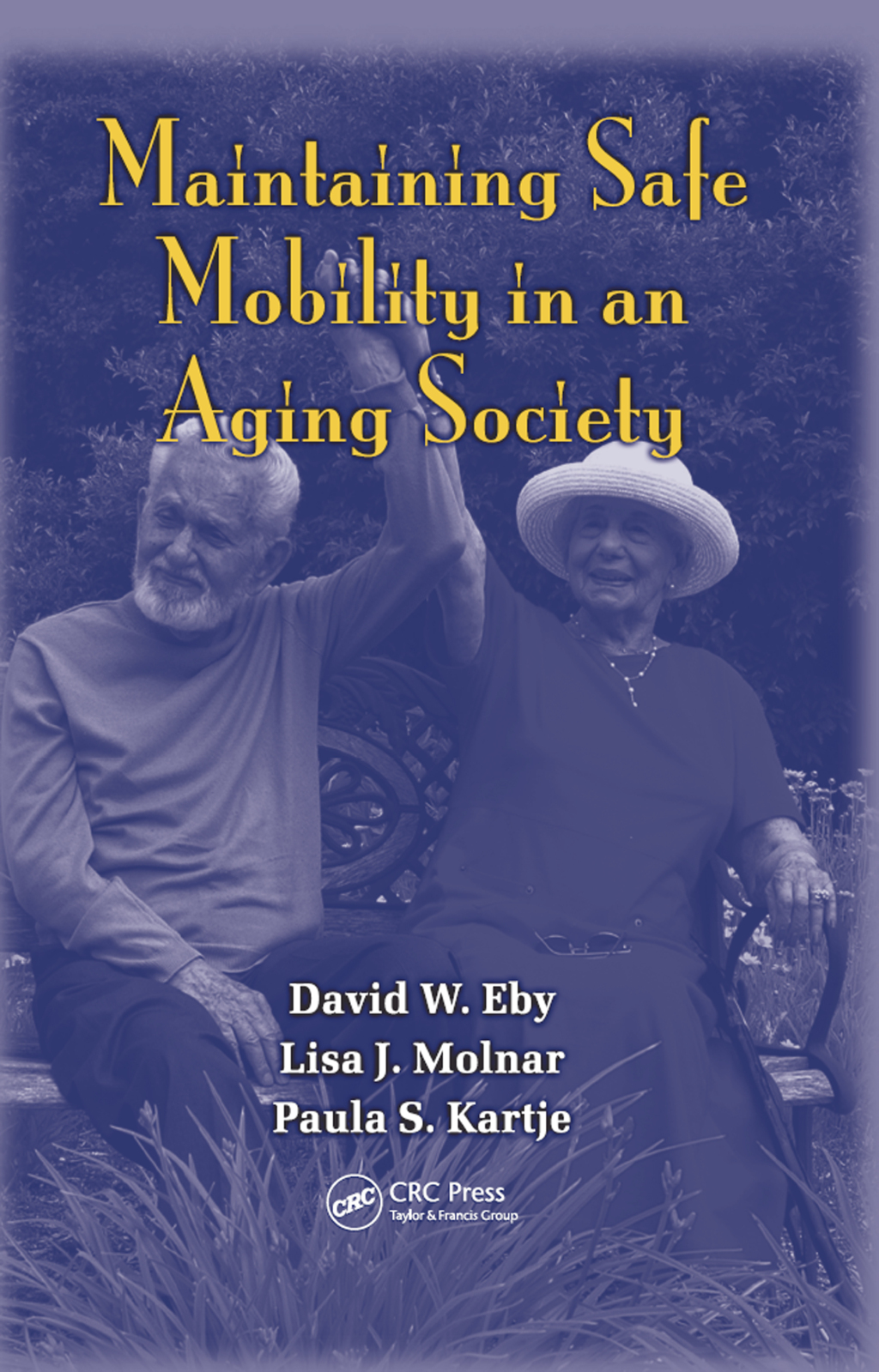 Maintaining Safe Mobility in an Aging Society 1st Edition