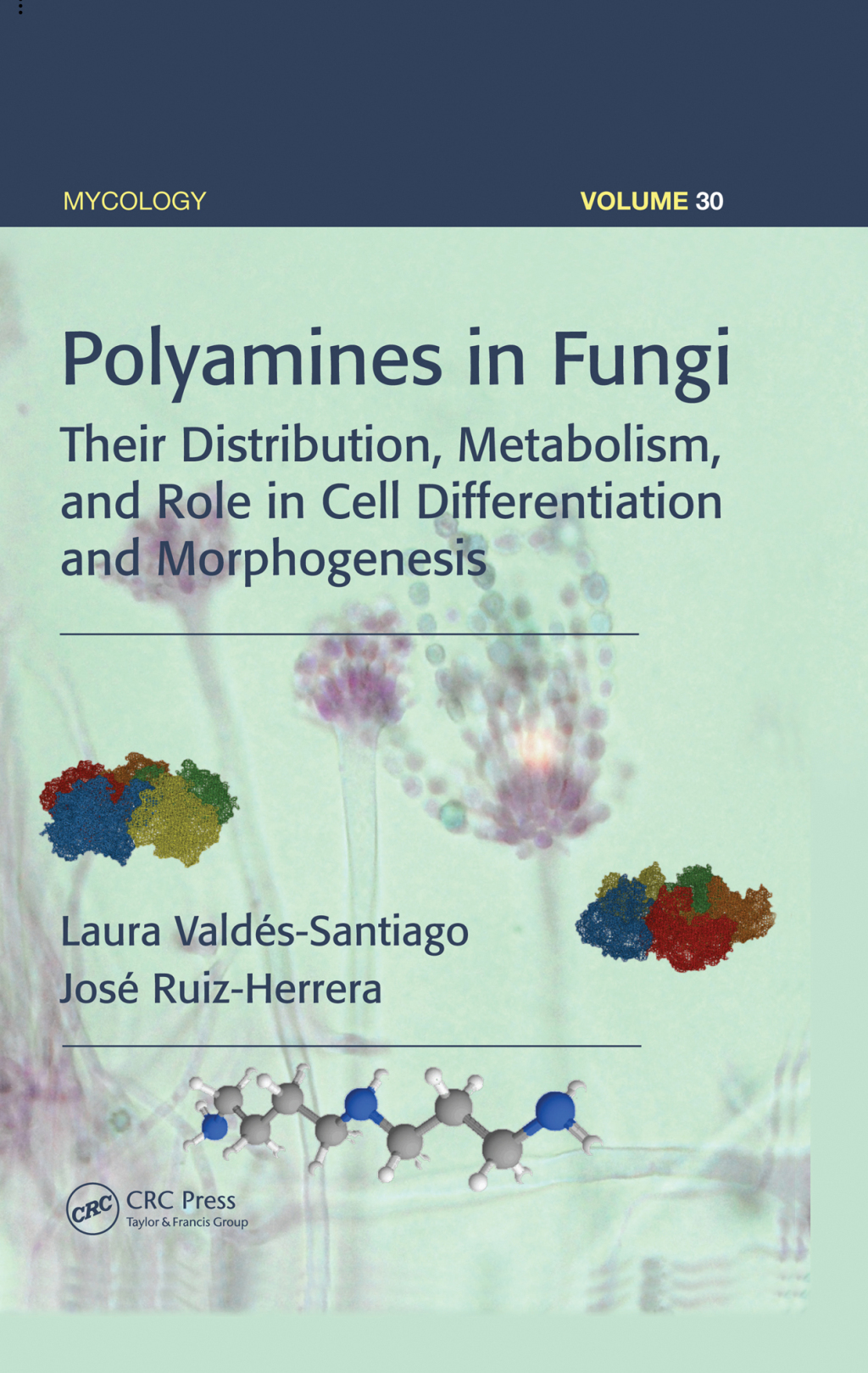 Polyamines in Fungi Their Distribution, Metabolism, and Role in Cell Differentiation and Morphogenesis 1st Edition