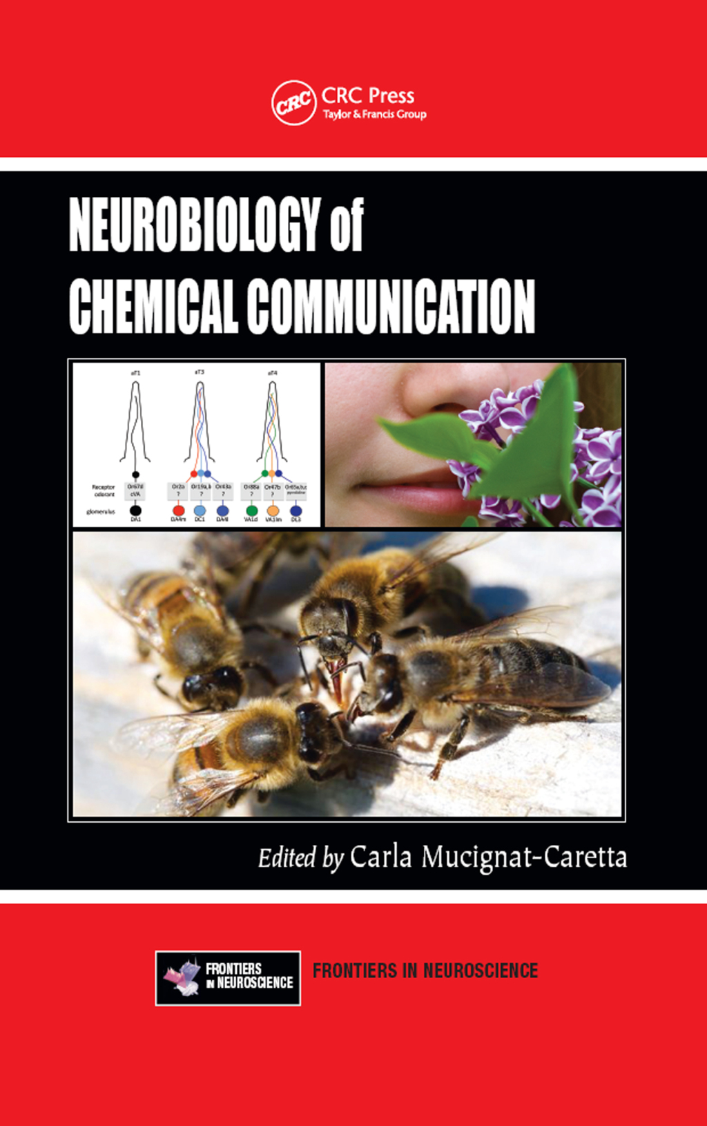 Neurobiology of Chemical Communication 1st Edition