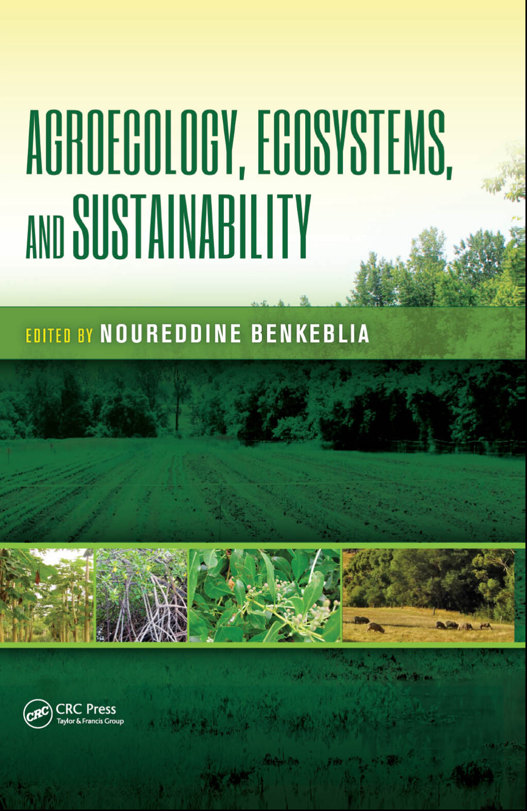 Agroecology, Ecosystems, and Sustainability 1st Edition