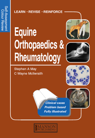 表紙画像: Equine Orthopaedics and Rheumatology 1st edition 9781874545736