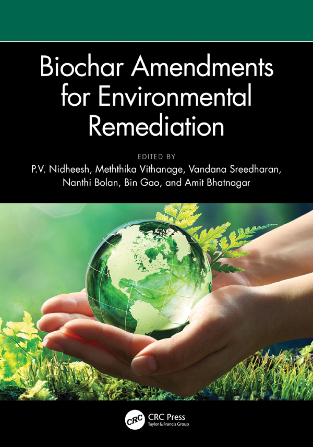 Biochar Amendments for Environmental Remediation 1st Edition