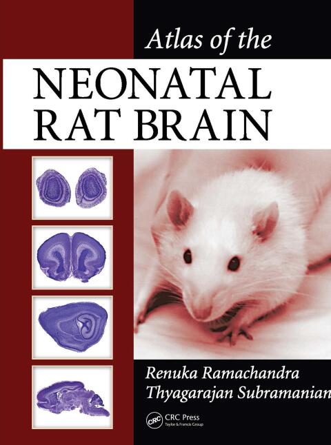Atlas of the Neonatal Rat Brain, 1st Edition - FULL INSTANT DOWNLOAD | PDF DOCX EPUB