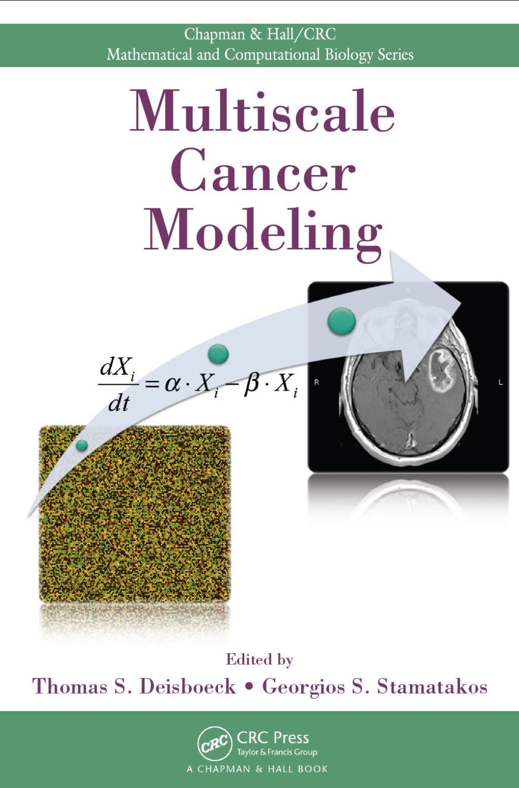 Multiscale Cancer Modeling 1st Edition