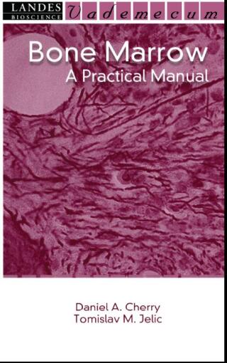 Cover image: Bone Marrow 1st edition 9781570597084
