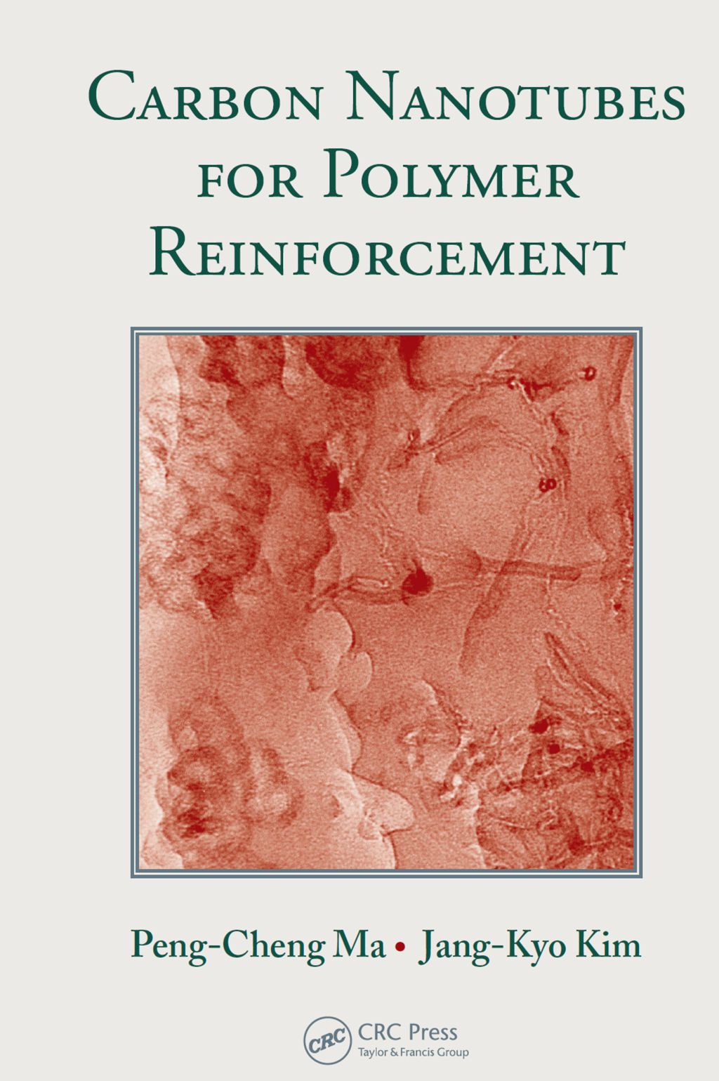Carbon Nanotubes for Polymer Reinforcement 1st Edition