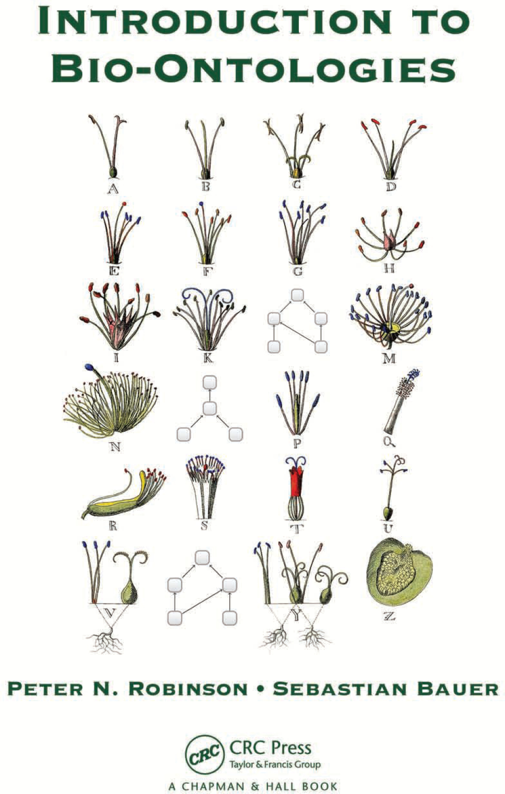 Introduction to Bio-Ontologies 1st Edition