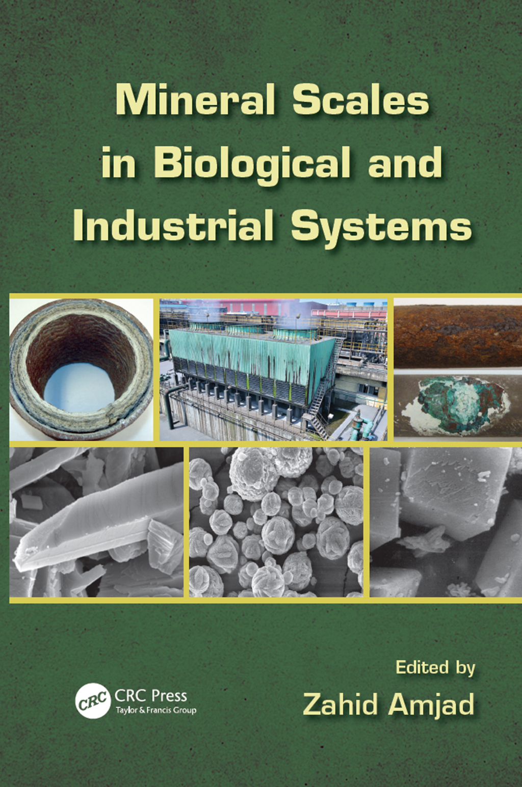 Mineral Scales in Biological and Industrial Systems 1st Edition