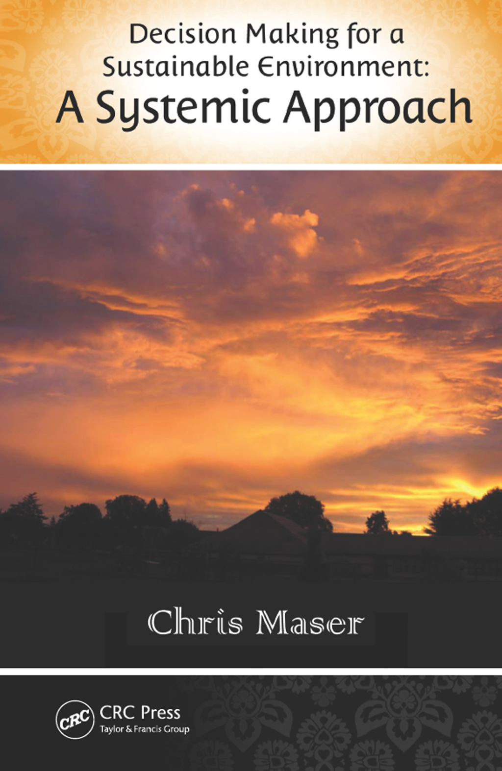 Decision-Making for a Sustainable Environment A Systemic Approach 1st Edition