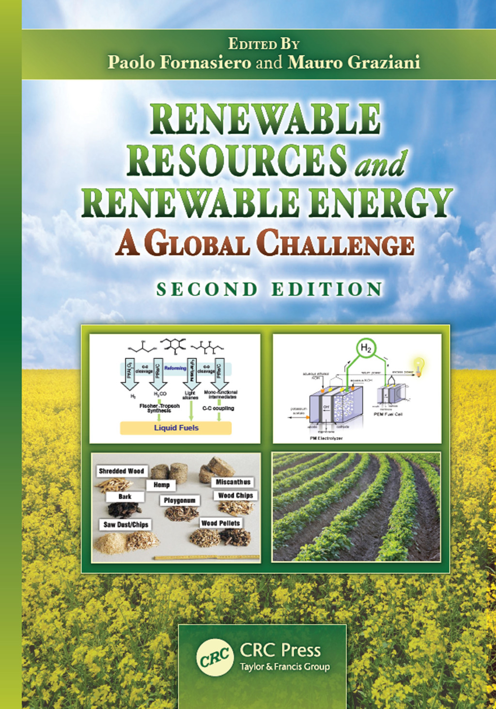 Renewable Resources and Renewable Energy A Global Challenge, Second Edition 2nd Edition