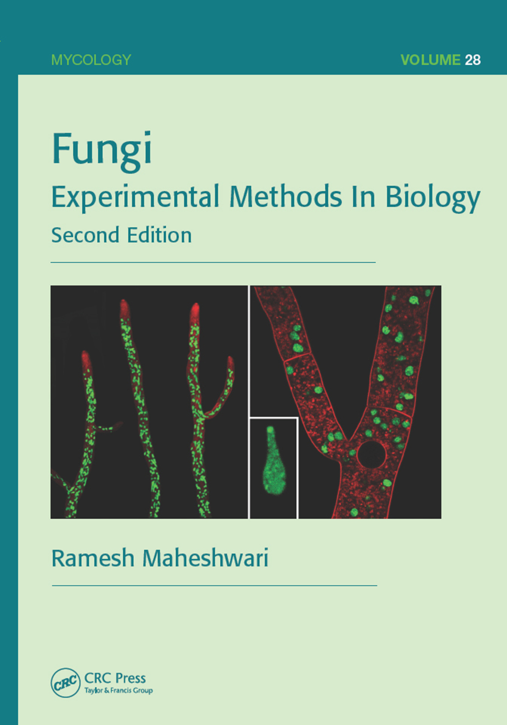 Fungi Experimental Methods In Biology, Second Edition 2nd Edition