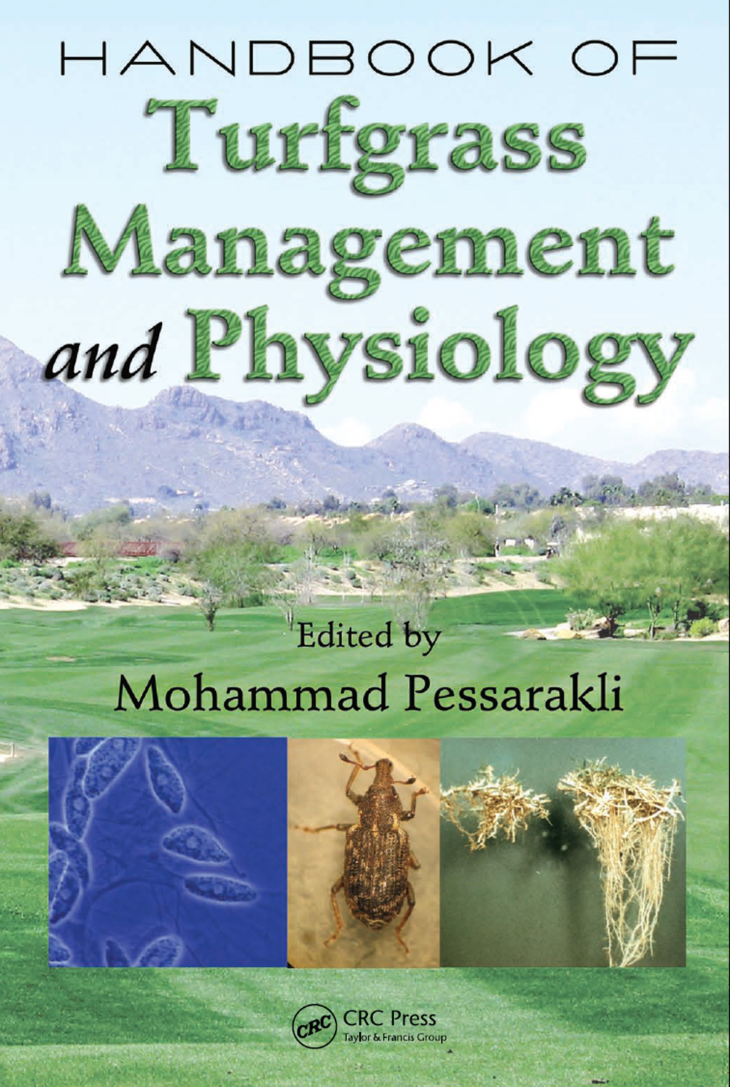 ISBN 9780367388508 product image for Handbook of Turfgrass Management and Physiology - 1st Edition (eBook) | upcitemdb.com