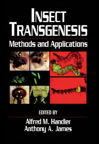 Imagen de portada: Insect Transgenesis 1st edition 9780367411268