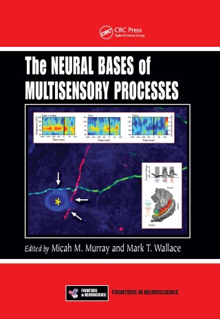 Cover image: The Neural Bases of Multisensory Processes 1st edition 9781439812174