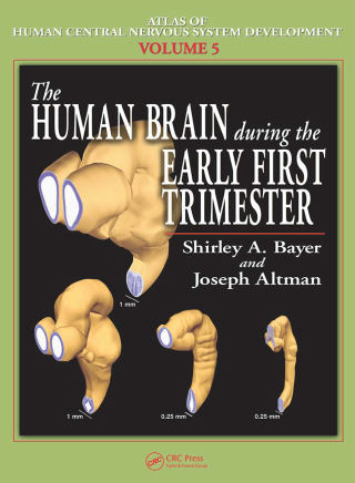 صورة الغلاف: The Human Brain During the Early First Trimester 1st edition 9780849314247