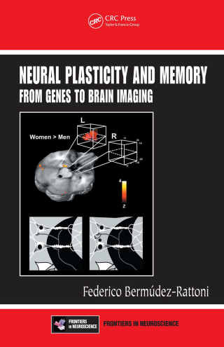 Imagen de portada: Neural Plasticity and Memory 1st edition 9780367389222