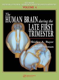 Cover image: The Human Brain During the Late First Trimester 1st edition 9780849314230
