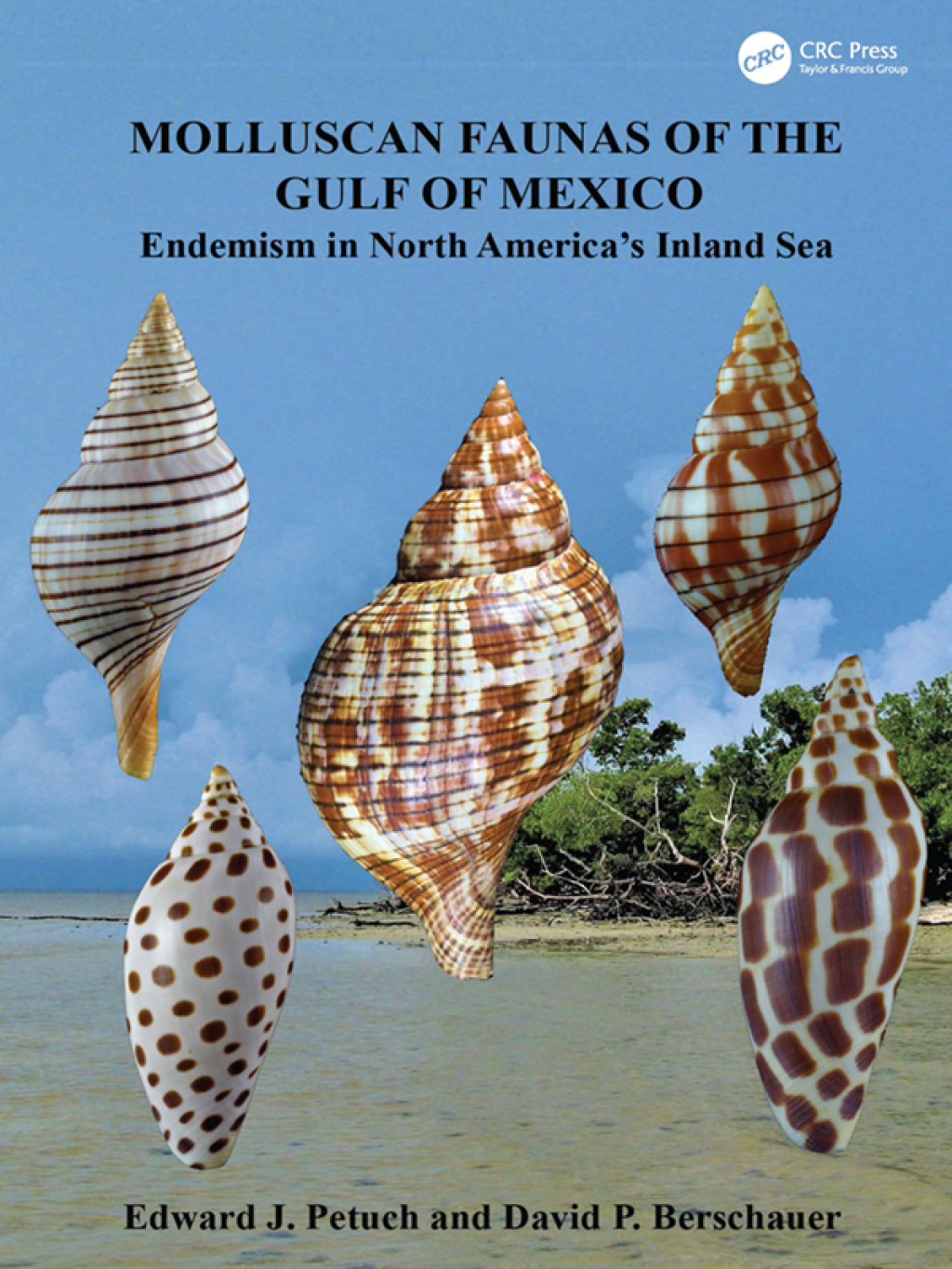 Molluscan Faunas of the Gulf of Mexico Endemism in North America’s Inland Sea 1st Edition