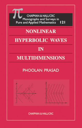 Cover image: Nonlinear Hyperbolic Waves in Multidimensions 1st edition 9781584880721