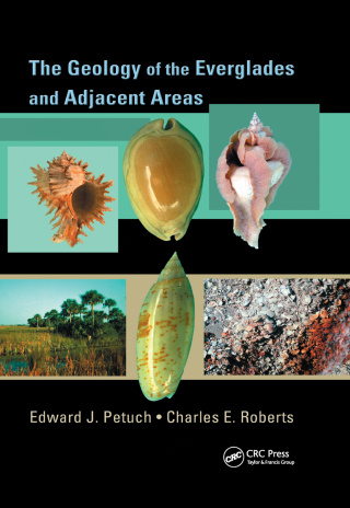 Cover image: The Geology of the Everglades and Adjacent Areas 1st edition 9781420045581