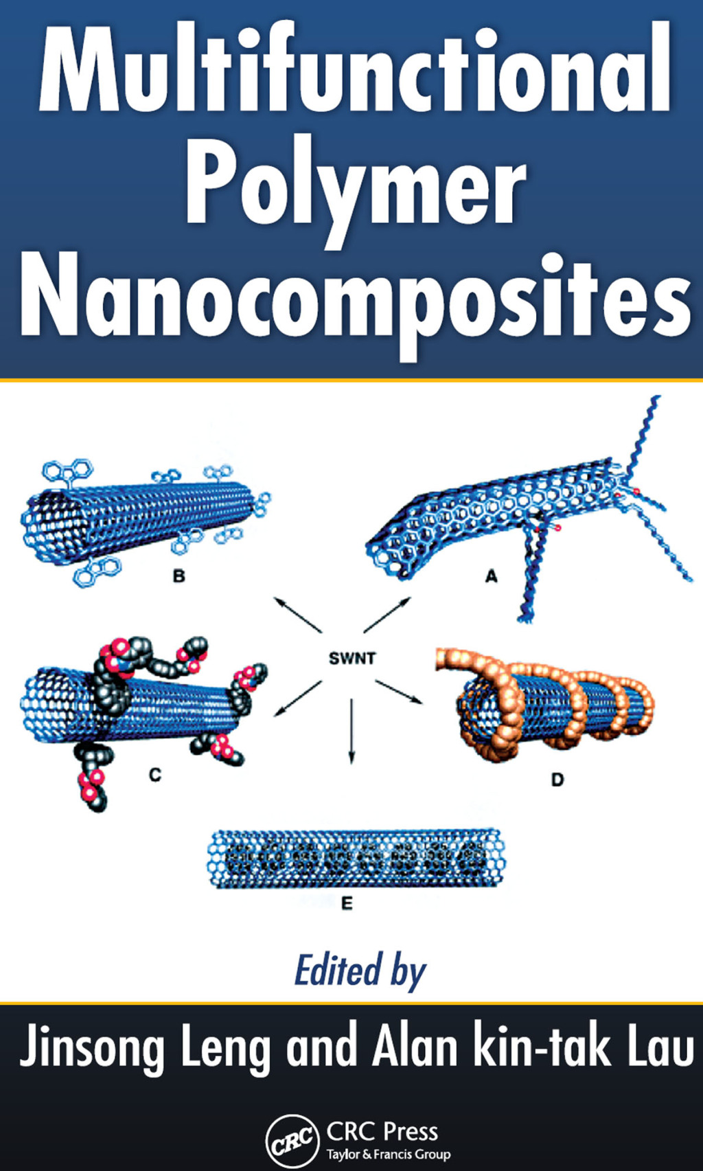 Multifunctional Polymer Nanocomposites 1st Edition
