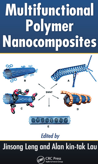 Imagen de portada: Multifunctional Polymer Nanocomposites 1st edition 9781138111806