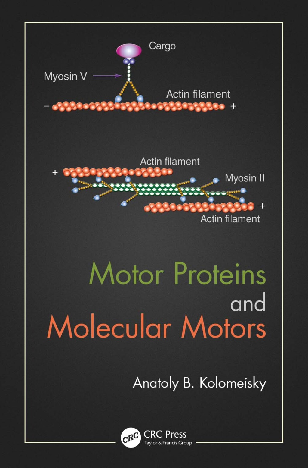 Motor Proteins and Molecular Motors 1st Edition