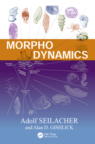 表紙画像: Morphodynamics 1st edition 9780367658960