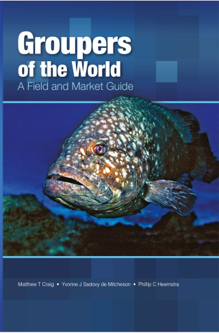 Imagen de portada: Groupers of the World 1st edition 9781466506022