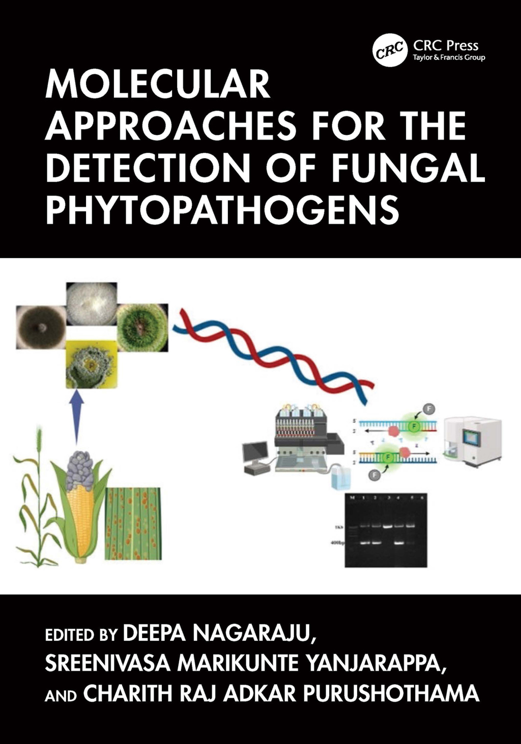 Molecular Approaches for the Detection of Fungal Phytopathogens 1st Edition