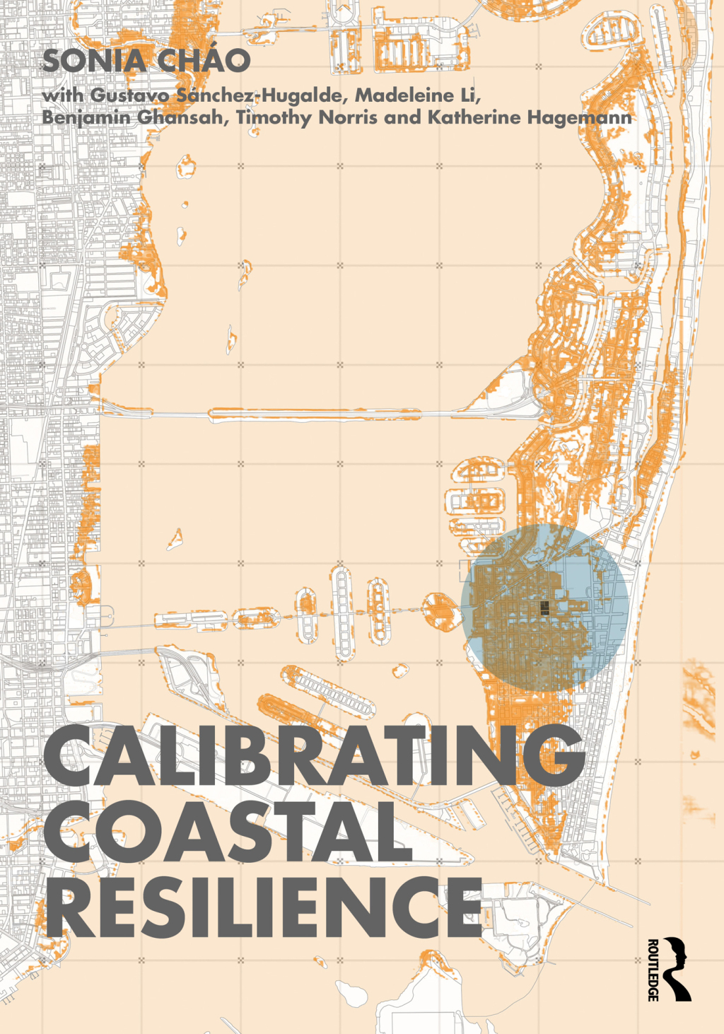 Calibrating Coastal Resilience 1st Edition