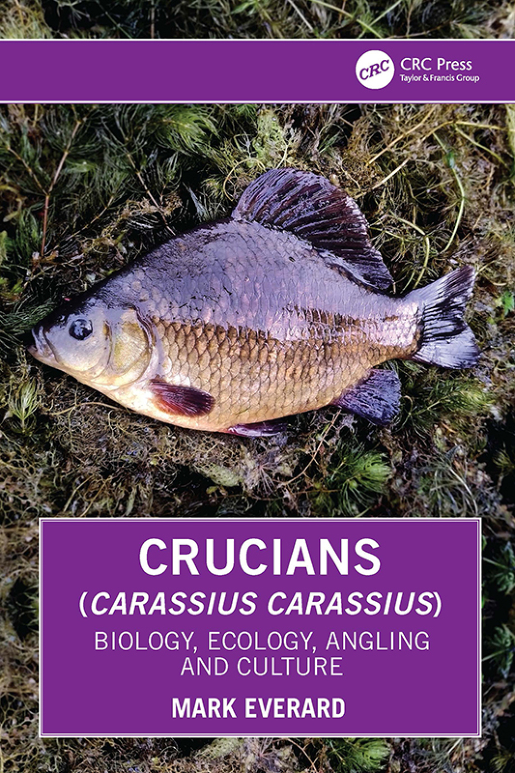 Crucians (Carassius carassius) Biology, Ecology, Angling and Culture 1st Edition