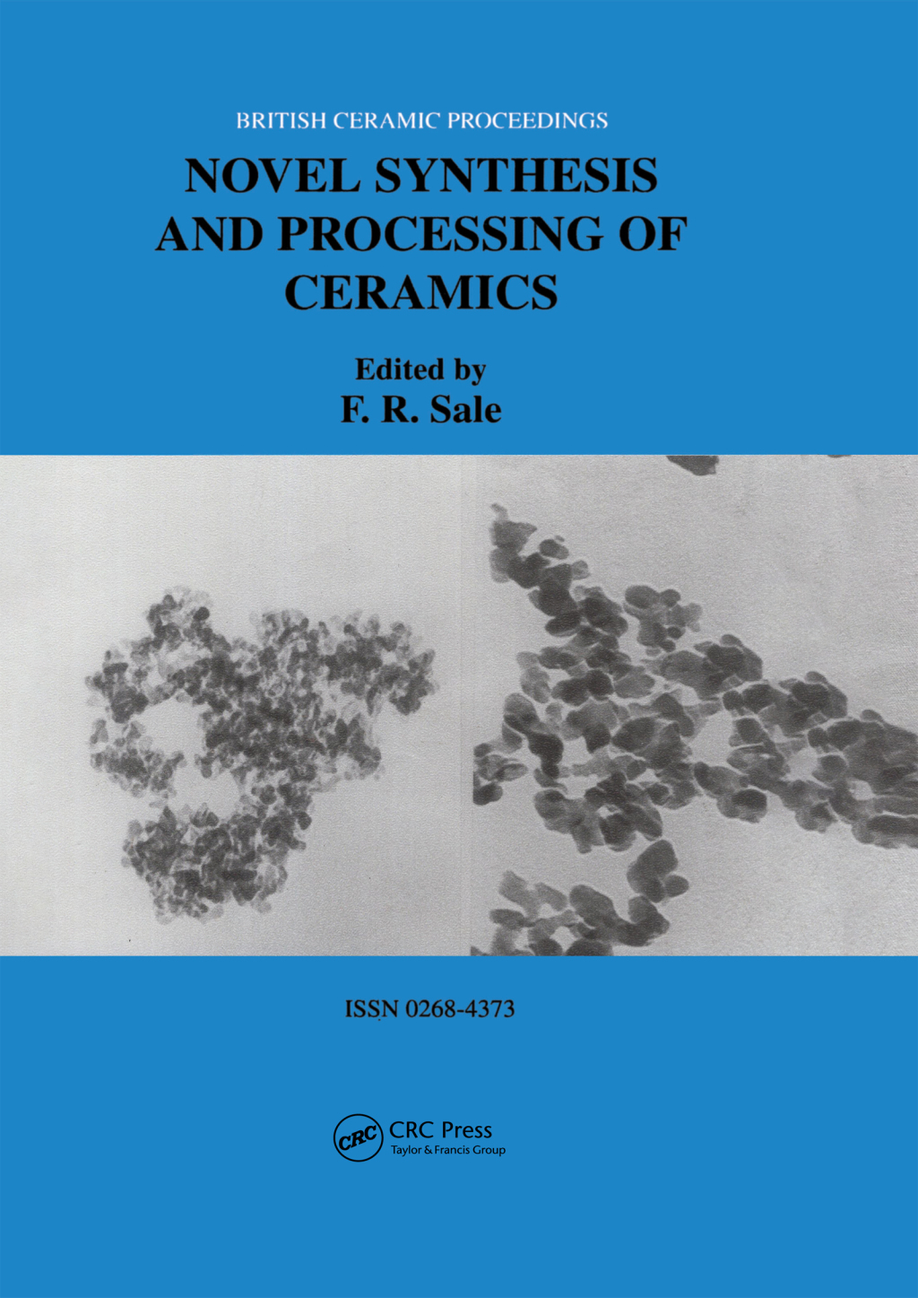 Novel Synthesis and Processing of Ceramics 1st Edition
