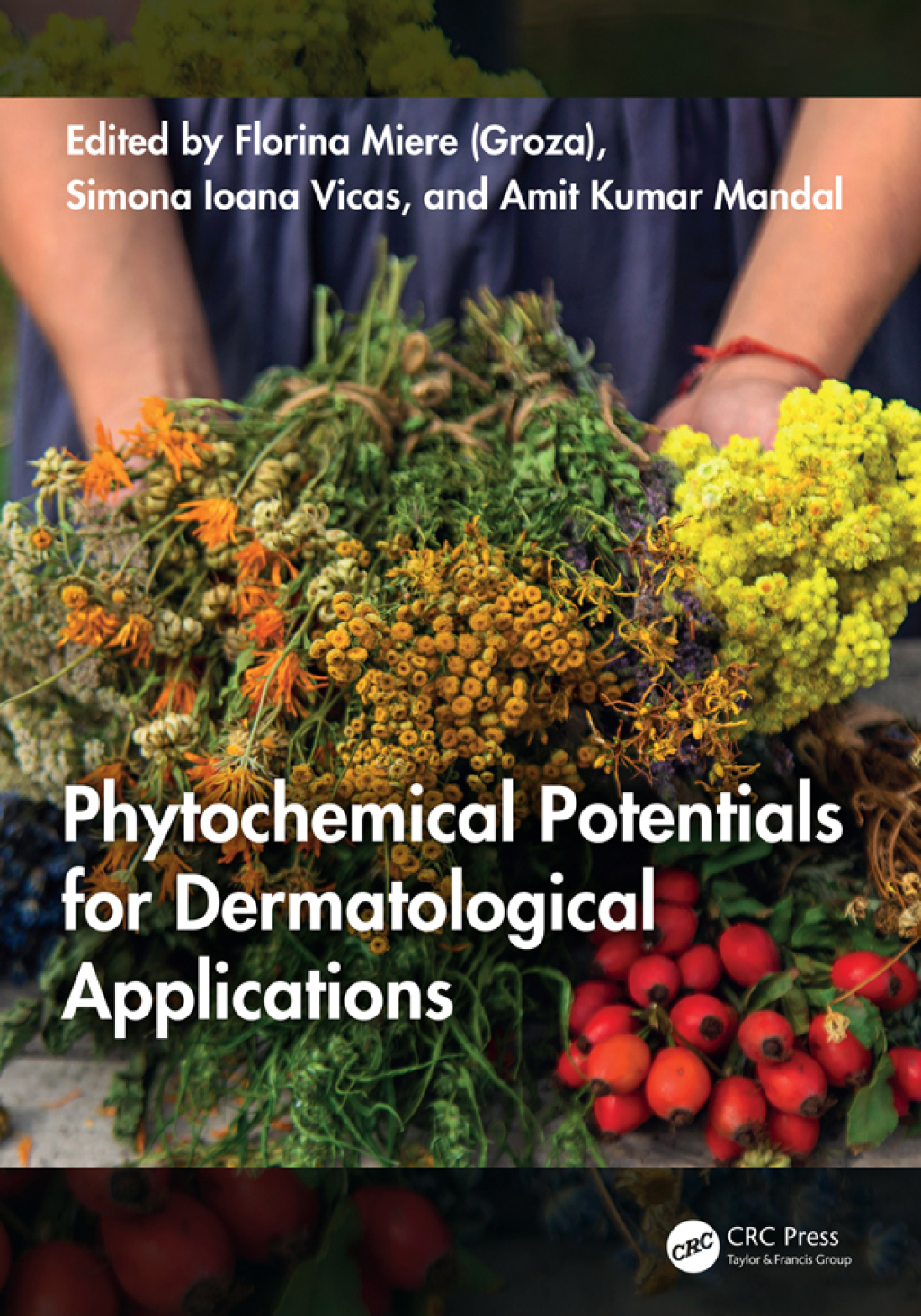 Phytochemical Potentials for Dermatological Applications 1st Edition