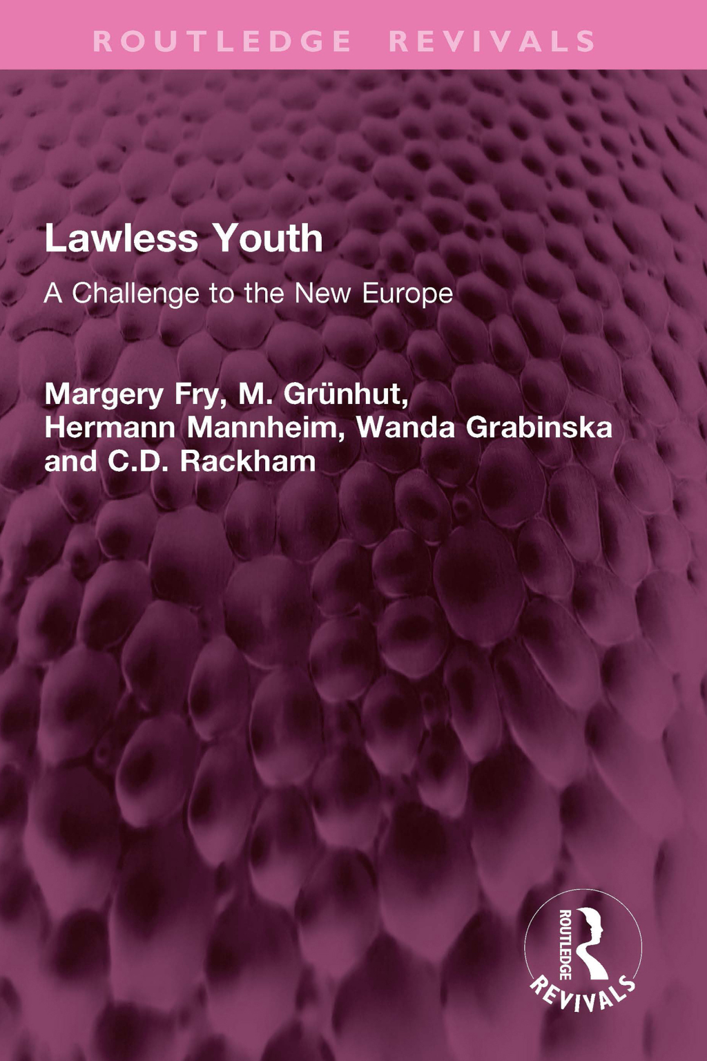 Lawless Youth A Challenge to the New Europe 1st Edition