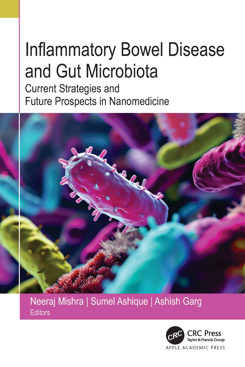 Inflammatory Bowel Disease and Gut Microbiota Current Strategies and Future Prospects in Nanomedicine 1st Edition