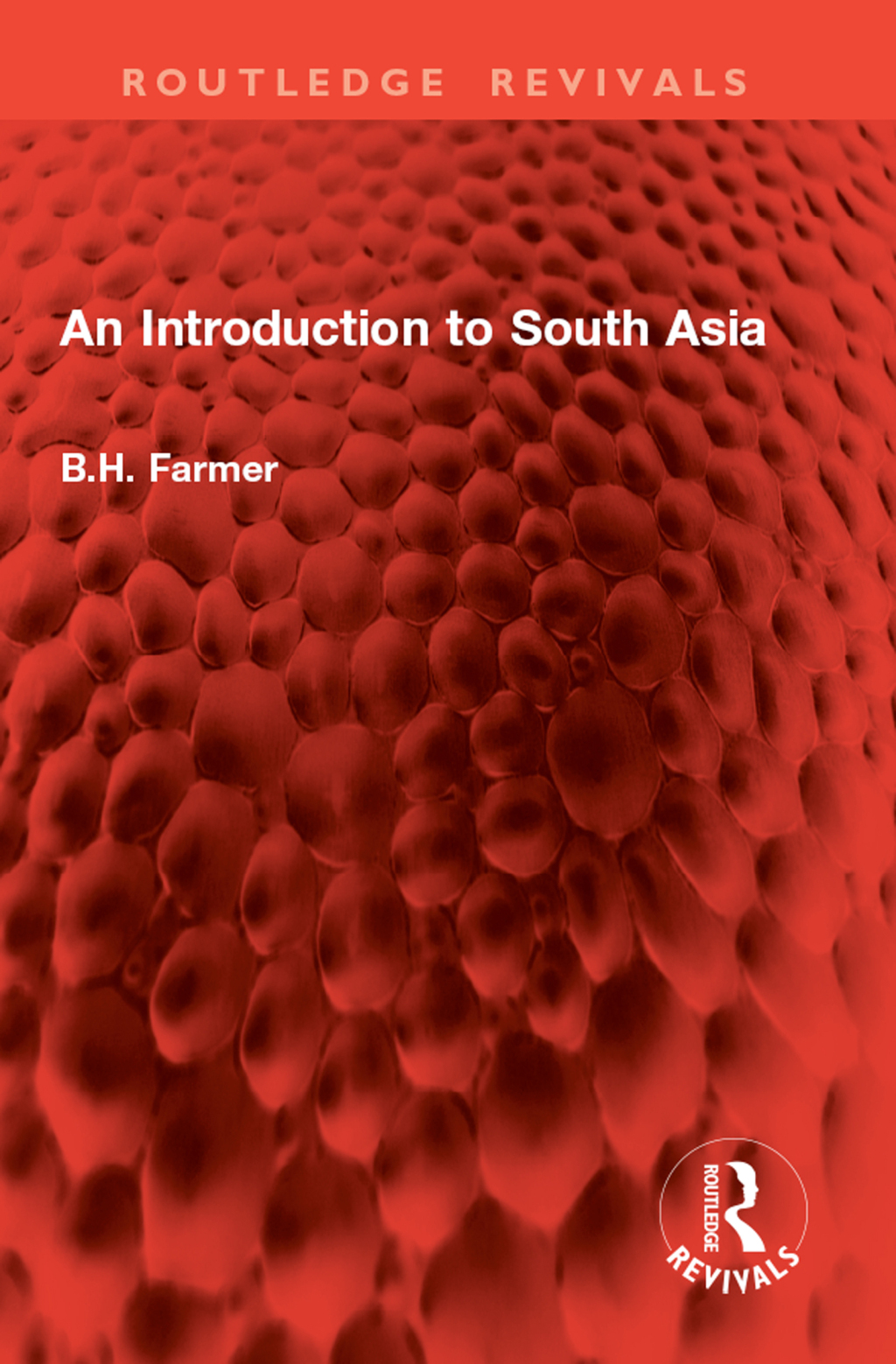 An Introduction to South Asia 1st Edition