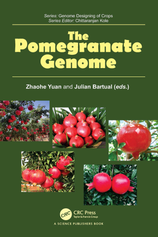 Immagine di copertina: The Pomegranate Genome 1st edition 9781032719665