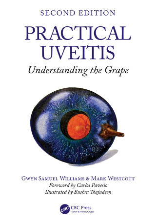 Imagen de portada: Practical Uveitis 2nd edition 9781032757230