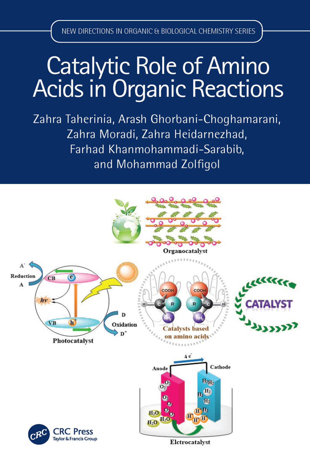 Catalytic Role of Amino Acids in Organic Reactions 1st Edition