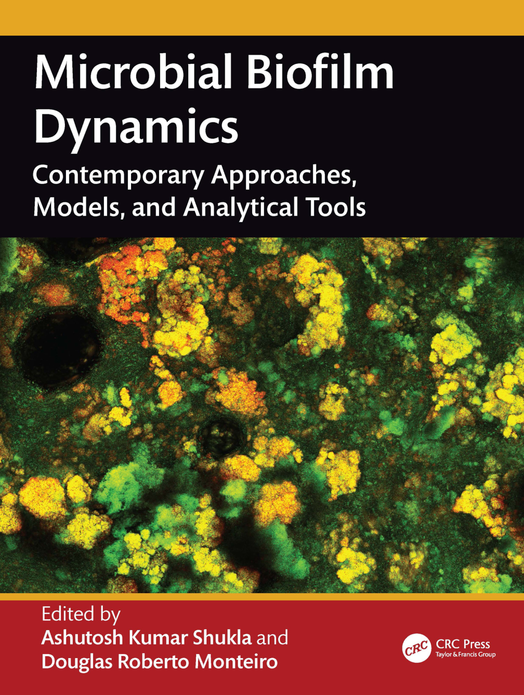 Microbial Biofilm Dynamics Contemporary Approaches, Models and Analytical Tools 1st Edition