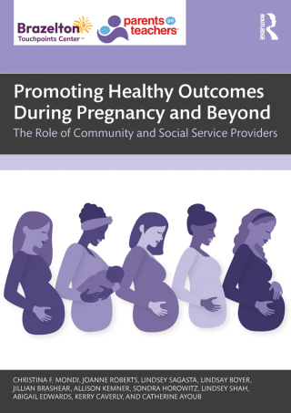 Cover image: Promoting Healthy Outcomes During Pregnancy and Beyond 1st edition 9781032759838