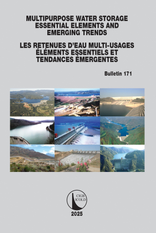 Cover image: Multipurpose Water Storage Essential Elements and Emerging Trends / Les Retenues d'Eau Multi-Usages Élements Essentiels et Tendances Émergentes 1st edition 9781041071747