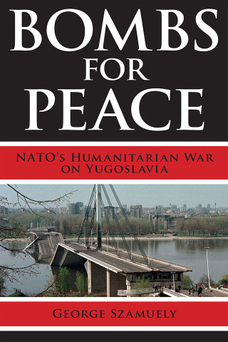 Cover image: Bombs for Peace 1st edition 9789089645630