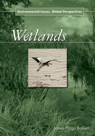 Cover image: Wetlands 1st edition 9780765682260